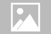 开云app-哈兰德在篮网比赛中领先优势明显，夺冠引发热议！-开云app
